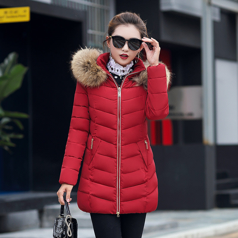 Winter Korean version of the new women's cotton-padded clothes women's medium and long slim fashion large fur collar cotton clothes women's coats spot wholesale