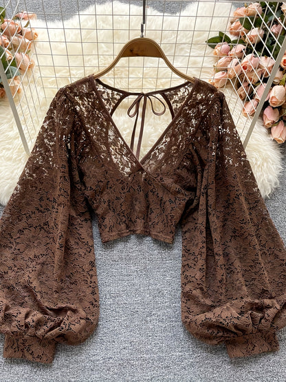 dunnmall  Semi-sheer Floral Lace Tie Top, Casual V Neck Back Zipper Long Lantern Sleeve Blouse, Women's Clothing