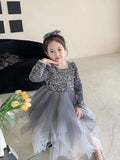 Kids Girl Dresses Girl's Dancewear Autumn Winter Girl Cosplay Costumes Handwork Luxurious Sequins Princess