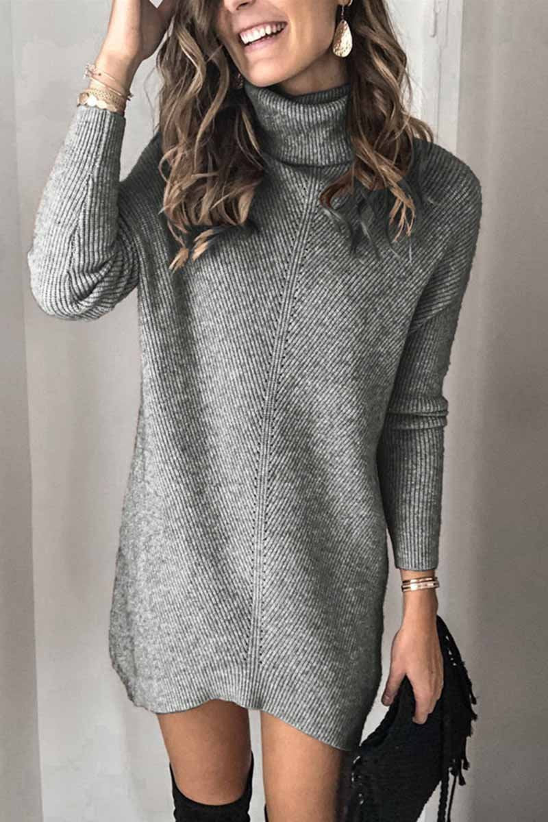 Dunnmall Casual Turtleneck Mini Dress